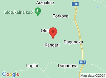  "Grantiņi", Kangari, Medņevas pagasts, Balvu nov., LV-4587,  Grantiņi, piemājas saimniecība