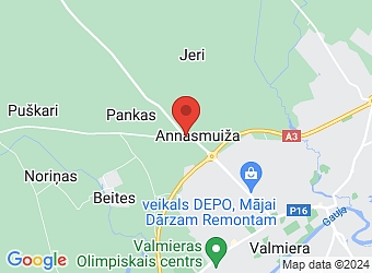  "Šalkas", Kocēnu pagasts, Valmieras nov., LV-4220,  Grūstiņi, SIA