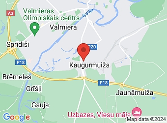  "Gulbīši", Kaugurmuiža, Kauguru pagasts, Valmieras nov. LV-4224,  Gulbītis 2, SIA