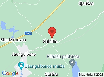  Gulbītis, "Gulbītis 2" -1, Jaungulbenes pagasts, Gulbenes nov., LV-4420,  Gulbītis 2016, biedrība