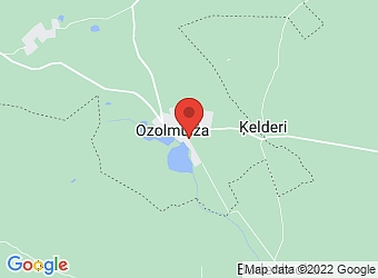  Ozolmuiža , Brīvzemnieku pagasts, Limbažu nov., LV-4063,  Impar, SIA, Veikals