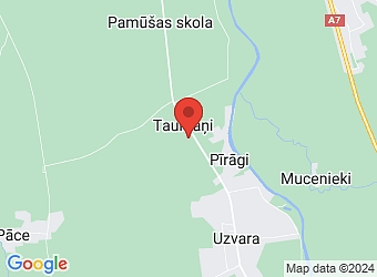  "Dārzniecība", Gailīšu pagasts, Bauskas nov., LV-3931,  Ints & Co, SIA