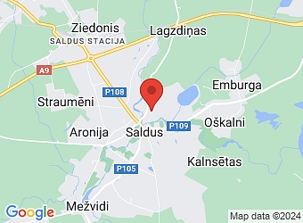  Zvejnieku 9, Saldus, Saldus nov. LV-3801,  IP Lik, SIA