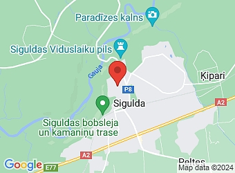  Leona Paegles 9, Sigulda, Siguldas nov. LV-2150,  J. Grizāna veterinārā prakse, IK