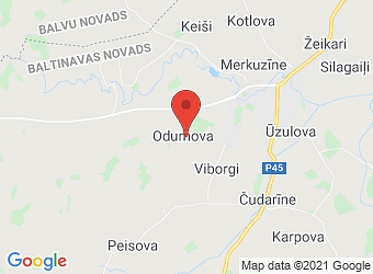  "Jaunā Odumova" , Baltinavas pagasts, Balvu nov., LV-4594,  Jaunā Odumova, ZS