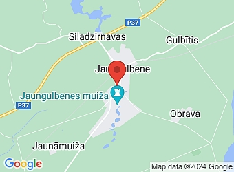  "Pienenīte", Jaungulbene, Jaungulbenes pagasts, Gulbenes nov., LV-4420,  Jaungulbenes doktorāts, IU