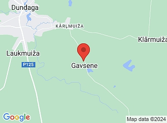  "Jaunsniķeri", Gavsene, Dundagas pagasts, Talsu nov., LV-3270,  Jaunsniķeri, ZS
