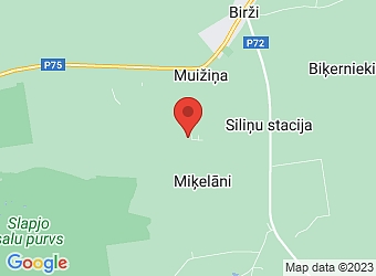  "Miķelāni" , Salas pagasts, Jēkabpils nov., LV-5214,  Jēkabpils dolomīts, SIA