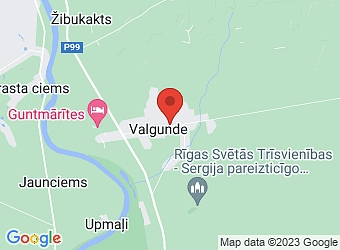  Valgunde, Celtnieku 41, Valgundes pagasts, Jelgavas nov., LV-3017,  Jelgavas Pils aptieka, SIA, Valgundes filiāle