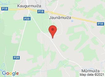  Kauguri, "Kauguru skola" , Kauguru pagasts, Valmieras nov., LV-4224,  J.Endzelīna Kauguru pamatskola