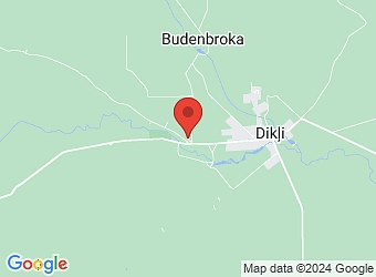  "Dikļu skola", Dikļi, Dikļu pagasts, Valmieras nov. LV-4223,  Jura Neikena Dikļu pamatskola
