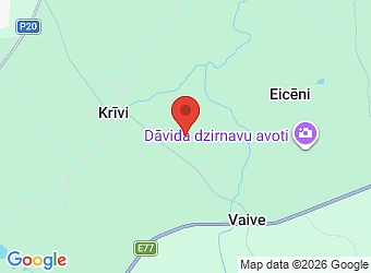  "Kalvīši Bērzaine", Vaives pagasts, Cēsu nov., LV-4136,  KBV, SIA