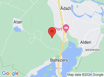  "Sabīņi", Ādažu pagasts, Ādažu nov., LV-2164,  Kokaudzētava Baltezers, SIA