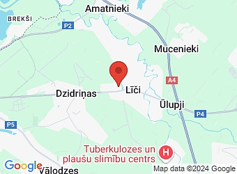  Koknešu 3, Līči, Stopiņu pagasts, Ropažu nov., LV-2118,  KOSE, SIA