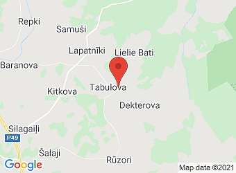  Tabulova , Mērdzenes pagasts, Ludzas nov., LV-5726,  Krumeši, ZS