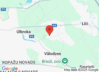  Asaru 11, Dzidriņas, Stopiņu pagasts, Ropažu nov., LV-2130,  KULTŪRAS PIESKĀRIENS, biedrība