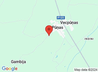  "Salnas", Valdgales pagasts, Talsu nov., LV-3253,  Kursas Lauki, SIA