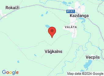  Kazdangas pagasts, Dienvidkurzemes nov. LV-3457,  Lauku kūrorts, viesu nams