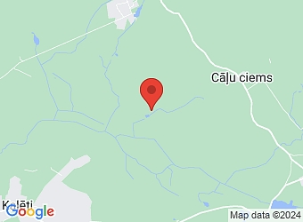  "Leinumi", Virgas pagasts, Dienvidkurzemes nov., LV-3485,  Leinumi, ZS