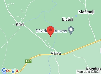  "Lejas Ozoli", Vaives pagasts, Cēsu nov., LV-4136,  Lejas Ozoli, SIA