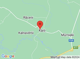  "Kārļi 1", Kārļi, Drabešu pagasts, Cēsu nov., LV-4139,  Lejas-Smēdes, ZS