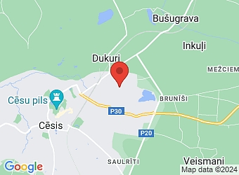  Rūpniecības 12A, Cēsis, Cēsu nov., LV-4101,  Leo, SIA