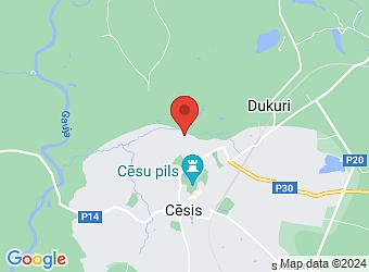  Birzes 31, Cēsis, Cēsu nov., LV-4101,  Levels, SIA