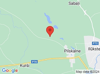  "Līdumi", Pilskalnes pagasts, Augšdaugavas nov., LV-5447,  Līdumi, ZS