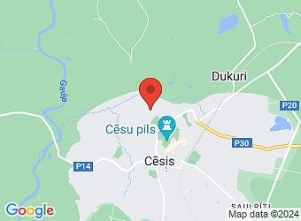  Lenču 19A, Cēsis, Cēsu nov., LV-4101,  Lines UP, SIA