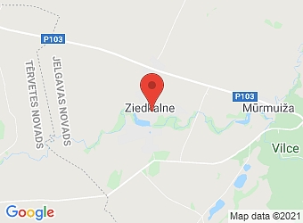  Ziedkalne, Ziedkalnes 37, Vilces pagasts, Jelgavas nov., LV-3026,  LRS Celtniecības un labiekārtošanas darbi, SIA