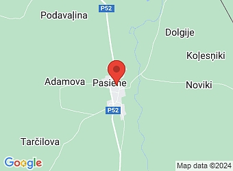 "Svīres", Pasiene, Pasienes pagasts, Ludzas nov., LV-5732,  Ludzas novada pašvaldība, Zilupes apvienības pārvalde, Pasienes pagasta pakalpojumu centrs