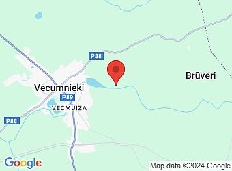  "Emīli", Vecumnieku pagasts, Bauskas nov., LV-3933,  Ļūmaņu ģimenes fonds, biedrība