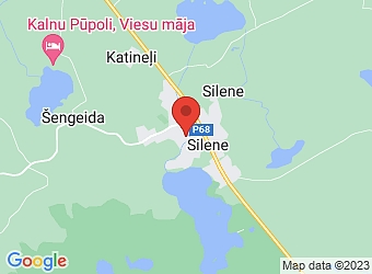  Silene, Skaista 13, Skrudalienas pagasts, Augšdaugavas nov., LV-5470,  Marianna, IU