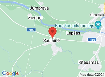  "Mārpuķītes", Saulaine, Rundāles pagasts, Bauskas nov., LV-3901,  Mārpuķīte, pirmsskolas izglītības iestāde