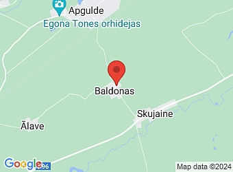  "Baldonas", Penkules pagasts, Dobeles nov., LV-3725,  Mazbaldonas, ZS