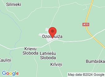  "Kārumnieks" - 16, Ozolmuiža, Ozolmuižas pagasts, Rēzeknes nov., LV-4633,  Meinkun, SIA