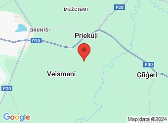  Viļuma Skubiņa 24A, Priekuļi, Priekuļu pagasts, Cēsu nov., LV-4126,  Mežrūpnieks, SIA
