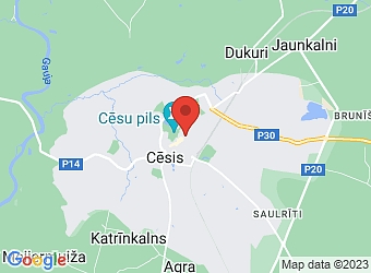  Rīgas 4, Cēsis, Cēsu nov., LV-4101,  Modes esence, SIA