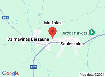  "Pakalniņi", Sauleskalns, Bērzaunes pagasts, Madonas nov., LV-4853,  MSM NATTY, SIA