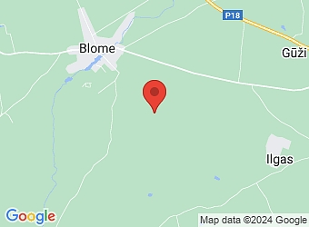  "Cerieši", Blomes pagasts, Smiltenes nov., LV-4707,  Muižnieki, ZS