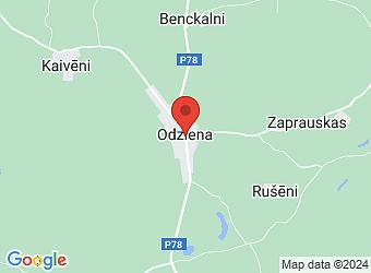  Odziena , Vietalvas pagasts, Aizkraukles nov. LV-5109,  Odzienas Gaisma, biedrība