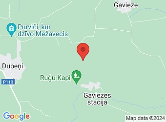  "Palgraši", Gaviezes pagasts, Dienvidkurzemes nov., LV-3431,  Omsa, SIA