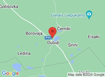  Ķiršu 11, Dubuļi, Kaunatas pagasts, Rēzeknes nov., LV-4616,  Orhideja A, SIA