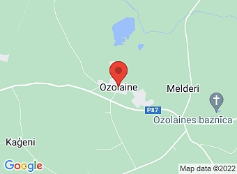  Ozolaine , Vecsaules pagasts, Bauskas nov., LV-3936,  Ozolaine, veikals