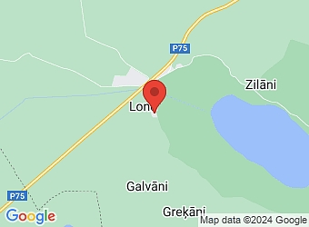  "Aronijas 1", Lone, Saukas pagasts, Jēkabpils nov., LV-5224,  Ozoliņi, ZS