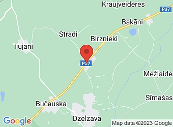  "Padoms 1", Dzelzavas pagasts, Madonas nov. LV-4873,  Padoma veikals, SIA