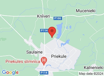  "Pauguri", Priekules pagasts, Dienvidkurzemes nov., LV-3434,  Pauguri, ZS