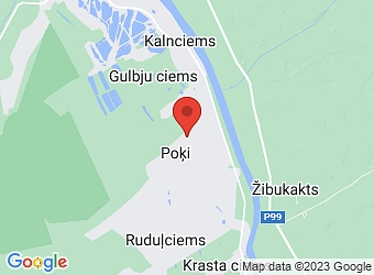  "Odiņi", Kalnciema pagasts, Jelgavas nov., LV-3016,  PBU grupa, SIA