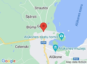  Pils 1A, Alūksne, Alūksnes nov. LV-4301,  Perevertailo L. ārsta traumatologa un ortopēda prakse