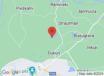  "Ninierkrasts", Priekuļu pagasts, Cēsu nov., LV-4126,  Pirmais grāmatvedis, SIA